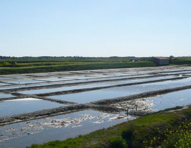 ile de ré